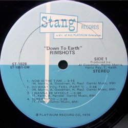 画像2: THE RIMSHOTS / DOWN TO EARTH