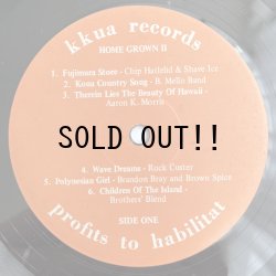 画像4: V.A. / HOME GROWN II