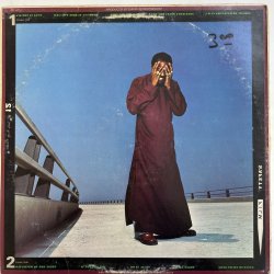 画像2: RICHIE HAVENS / THE END OF THE BEGINNING