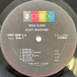 画像4: SCOTT BRADFORD / ROCK SLIDES