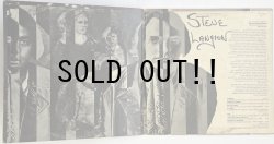 画像3: SCOTT BRADFORD / ROCK SLIDES