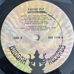 画像4: MOTHERLODE / TAPPED OUT