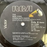 THE NEW YORK COMMUNITY CHOIR / EXPRESS YOURSELF - HAVE A GOOD TIME