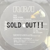 THE NEW YORK COMMUNITY CHOIR / EXPRESS YOURSELF - HAVE A GOOD TIME