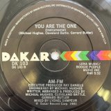 AM-FM / YOU ARE THE ONE