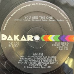 画像2: AM-FM / YOU ARE THE ONE