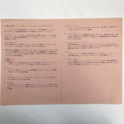 画像5: YOKO NAGAYAMA（長山洋子） / TOKYO SNACK MIX