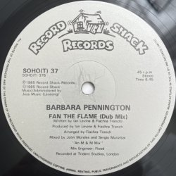 画像4: BARBARA PENNINGTON / FAN THE FLAME 