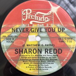 画像2: SHARON REDD / NEVER GIVE YOU UP