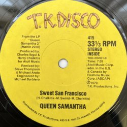 画像2: QUEEN SAMANTHA / TAKE A CHANCE 