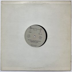 画像3: BON ROCK & THE RYTHEM REBELLION / SEARCHING RAP