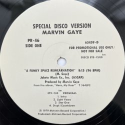 画像3: MARVIN GAY / A FUNKY SPACE REINCARNATION