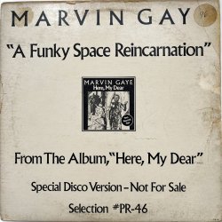 画像1: MARVIN GAY / A FUNKY SPACE REINCARNATION