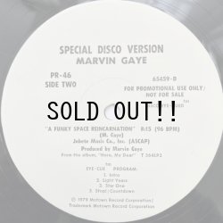 画像4: MARVIN GAY / A FUNKY SPACE REINCARNATION