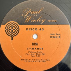 画像2: TANYA, SWEET TEE, WINLEY / VICIOUS RAP - CYMANDE / BRA