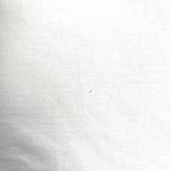 画像7: VINTAGE T-shirt "PAPA JAZZ RECORDS SHOPPE"