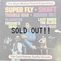 THE CECIL HOLMES SOULFUL SOUNDS / THE BLACK MOTION PICTURE EXPERIENCE