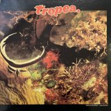 JOHN TROPEA / TROPEA