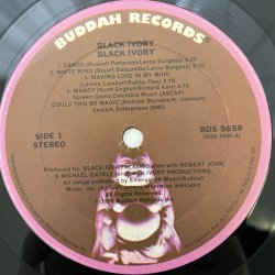 画像3: BLACK IVORY / S.T.