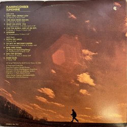 画像2: THE FLAMING EMBER / SUNSHINE