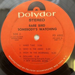 画像4: RARE BIRD / SOMEBODY'S WATCHING