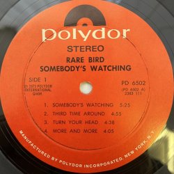 画像3: RARE BIRD / SOMEBODY'S WATCHING