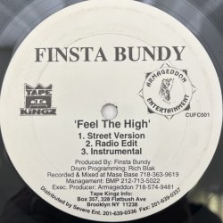 画像1: FINSTA BUNDY / FEEL THE HIGH