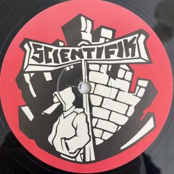 画像4: SCIENTIFIK / JUNGLES OF DA EAST