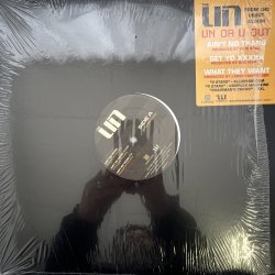 画像1: THE UN / AIN'T NO THANG - GET YO XXXXX - WHAT THEY WANT