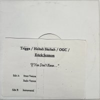 TRIGGA , HELTAH SKELTAH , OGC , ERICK SERMON / IF YOU DON'T KNOW