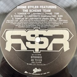 画像4: DIVINE STYLER feat. THE SCHEME TEAM / AIN'T SAYIN NOTHIN 