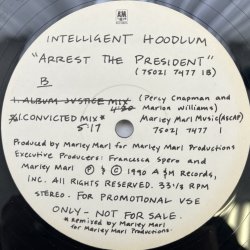 画像2: INTELLIGENT HOODLUM / ARREST THE PRESIDENT 