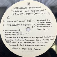 INTELLIGENT HOODLUM / ARREST THE PRESIDENT 