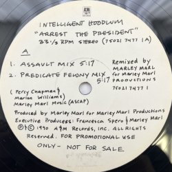 画像1: INTELLIGENT HOODLUM / ARREST THE PRESIDENT 