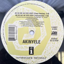 画像2: AKINYELE / AK HA HA! AK HOO HOO? 