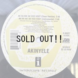 画像2: AKINYELE / AK HA HA! AK HOO HOO? 