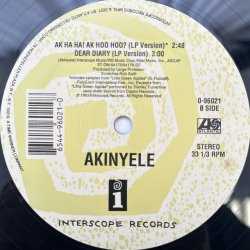 画像3: AKINYELE / AK HA HA! AK HOO HOO? 