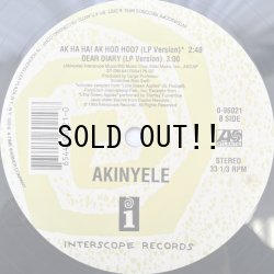 画像3: AKINYELE / AK HA HA! AK HOO HOO? 