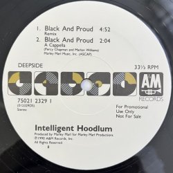 画像3: INTELLIGENT HOODLUM / BLACK AND PROUD