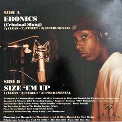 画像2: BIG L / EBONICS - SIZE 'EM UP