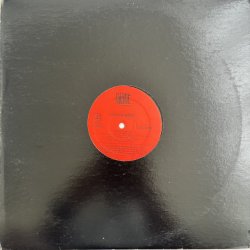 画像3: LORD FINESSE / PARTY OVER HERE - YES YOU MAY (REMIX)