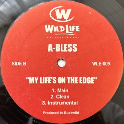 画像2: FAT JOE & BIG PUN / BEST BEHAVIOUR (REMIX) - A BLESS / MY LIFE'S ON THE EDGE