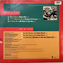 画像2: DIAMOND AND THE PSYCHOTIC NEUROTICS / WHAT U HEARD - I'M OUTTA HERE 