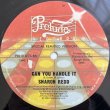 画像1: SHARON REDD / CAN YOU HANDLE IT