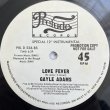 画像2: GAYLE ADAMS / LOVE FEVER
