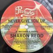 画像2: SHARON REDD / NEVER GIVE YOU UP