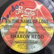 画像1: SHARON REDD / NEVER GIVE YOU UP