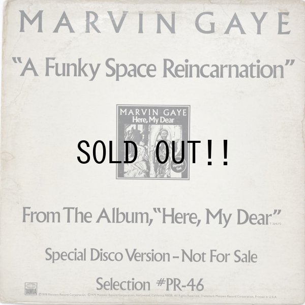 画像2: MARVIN GAY / A FUNKY SPACE REINCARNATION