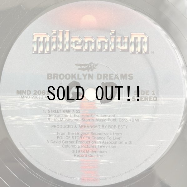 画像1: BROOKLYN DREAMS / STREET MAN