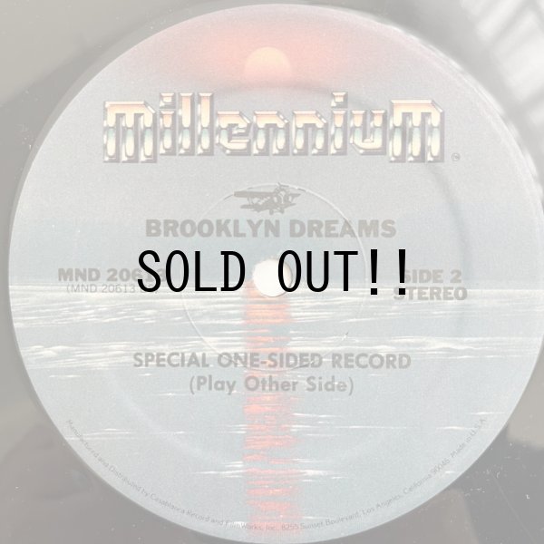 画像2: BROOKLYN DREAMS / STREET MAN